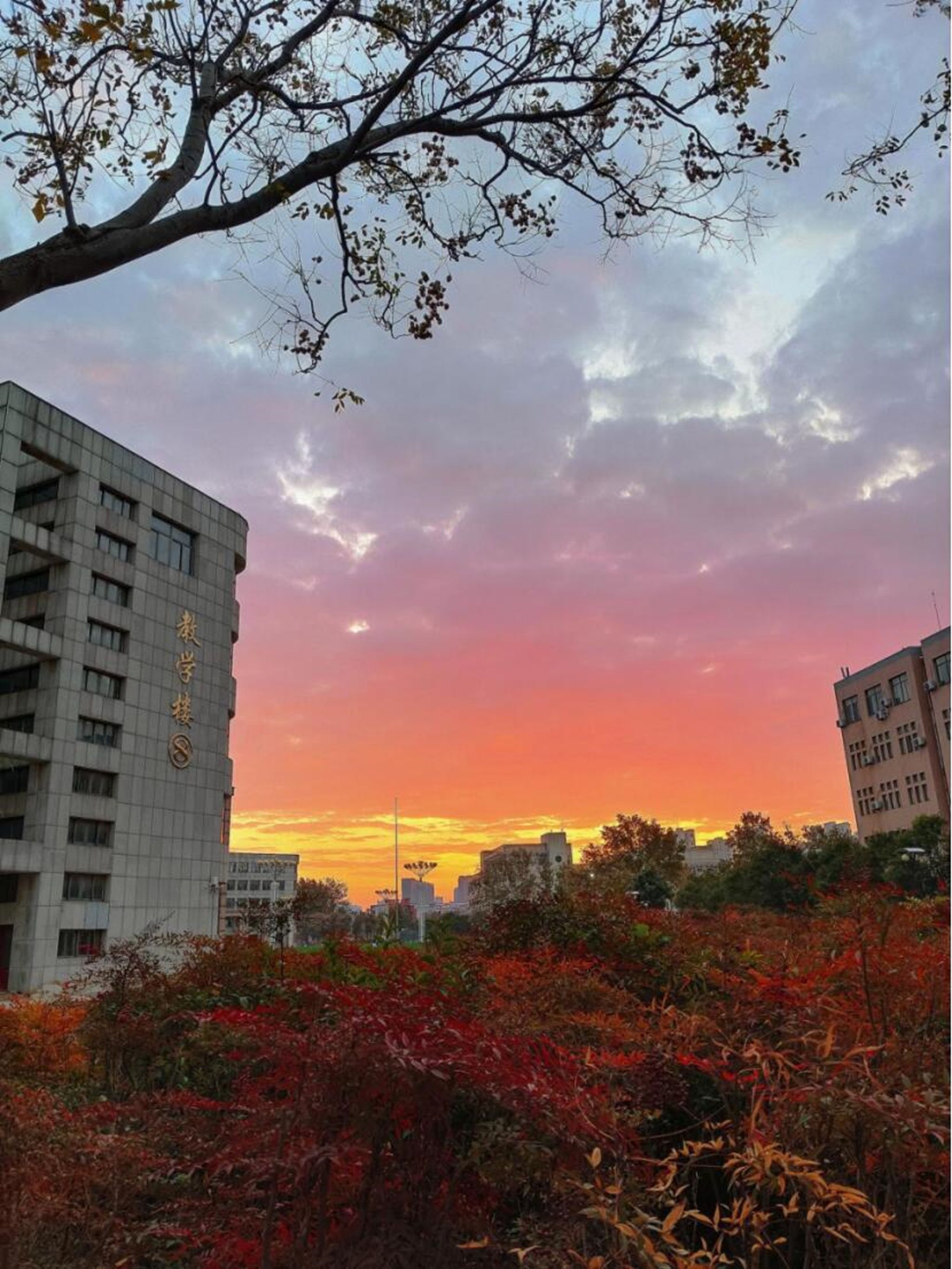 qy千亿球友会